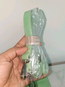 Allen Solly Light Green Tote Bag