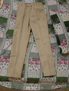 Formal Beige Colour Pant