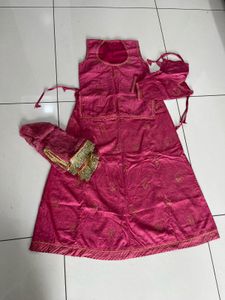 Beautiful Pink Poshak