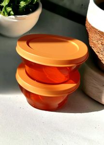 Two Tupperware Clear Bowl Set