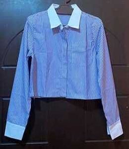 Stripe Blue Crop Shirt