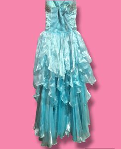 Blue Gown