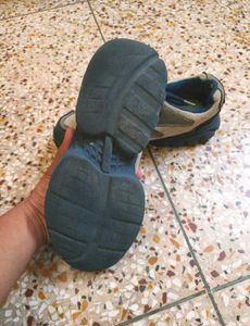 Sparx Shoes,  Size : 08