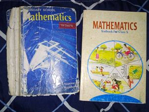 TWO Class 10 Mathematics Textbooks