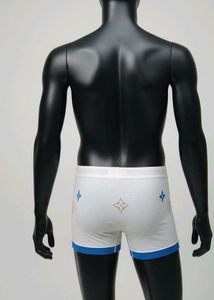 Designer Men&#39;s Briefs louis vuitton