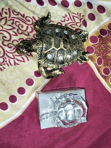 Glass Turtles &amp; Black 🐢.....