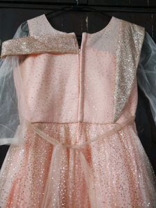 Beautiful Peach Party Gown For Women/Girls
