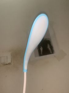 Study Lamp A