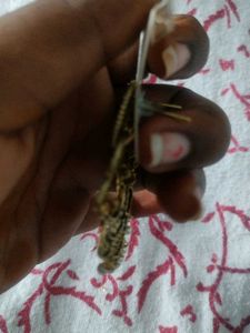 Elegant Dangle Earrings