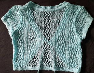 Crop Top Which Can Wear Casually