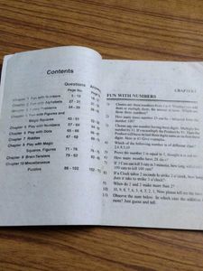 Puzzles Book