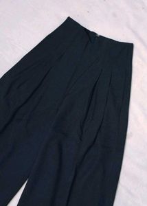 Wide Leg Pleated Pants