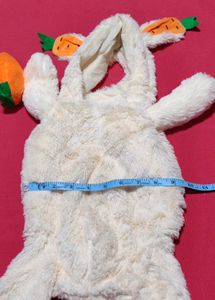 small dog and cat  Rabbit Dress