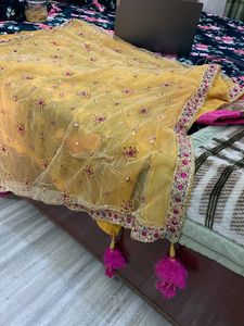 partywear dupatta