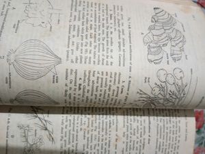 BOTANY BOOK 📕