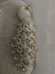 Sparkling Clutch