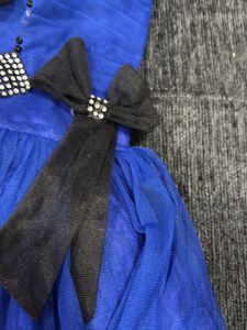 Blue Party Wear soft Net Dress