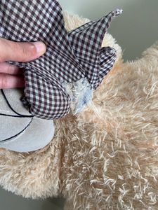 Giant Teddy