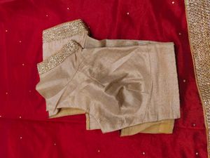 Organza  Saree With Blouse