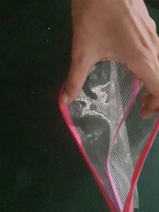 Transparent Pink Pouch