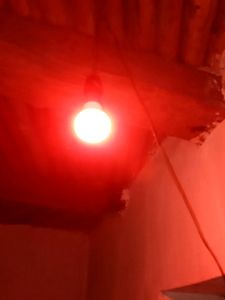 Three Colours In Bulb 💡