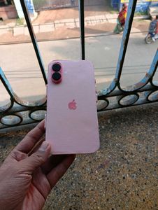 Iphone 16 Plus (Dummy) Pink Color Cardboard