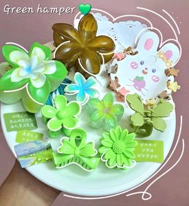 Hair Clip Set