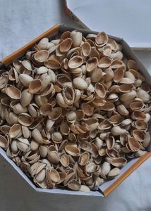 Pistachios Shells 2 Kg. Art Craft