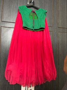 Gorgeous Green &amp; Pink Lehenga Choli