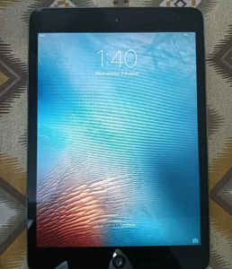 Apple iPad Mini