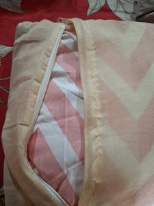 Floral Cushion With Cover