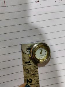 Interchangeable Watch