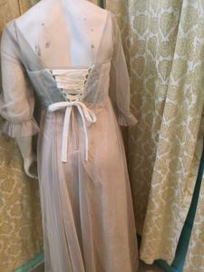 Goldish Grey Embellished Tulle Dress