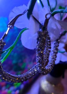 Set Of 4 Ear Rings