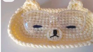 Crochet Specs case(Any One)
