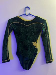 Velvet Bodysuit