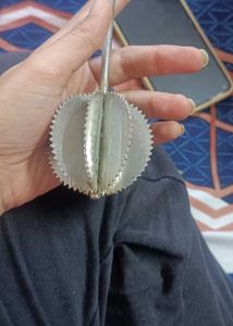 Push Mechanism Stainless Steel Whisker/Blender