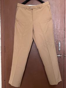 Classic Light Beige Formal Trousers for Men