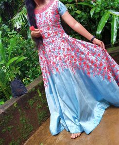 Elegant Ethnic Gown