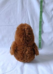 Kiwi Plush