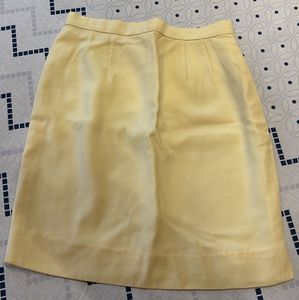 Sober And Elegent Skirt
