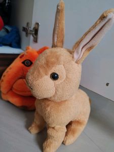 Combo Of Ganesha And Rabbit