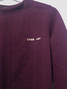 Burgundy And Sea Green Crewneck Sweater