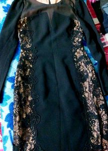 Cream with Black net bodycon