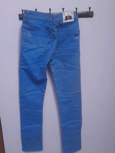 Gents Pant