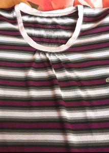 Lacoste Brand Tshirt