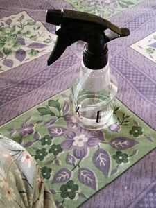 Hair Salon Spray Bottle