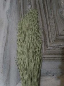 New Broom - Superior Cleaning!