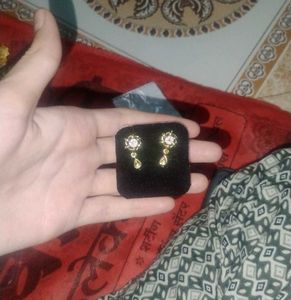 Gold Plated Earrings