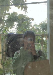 Stylish Green Knit Sweater